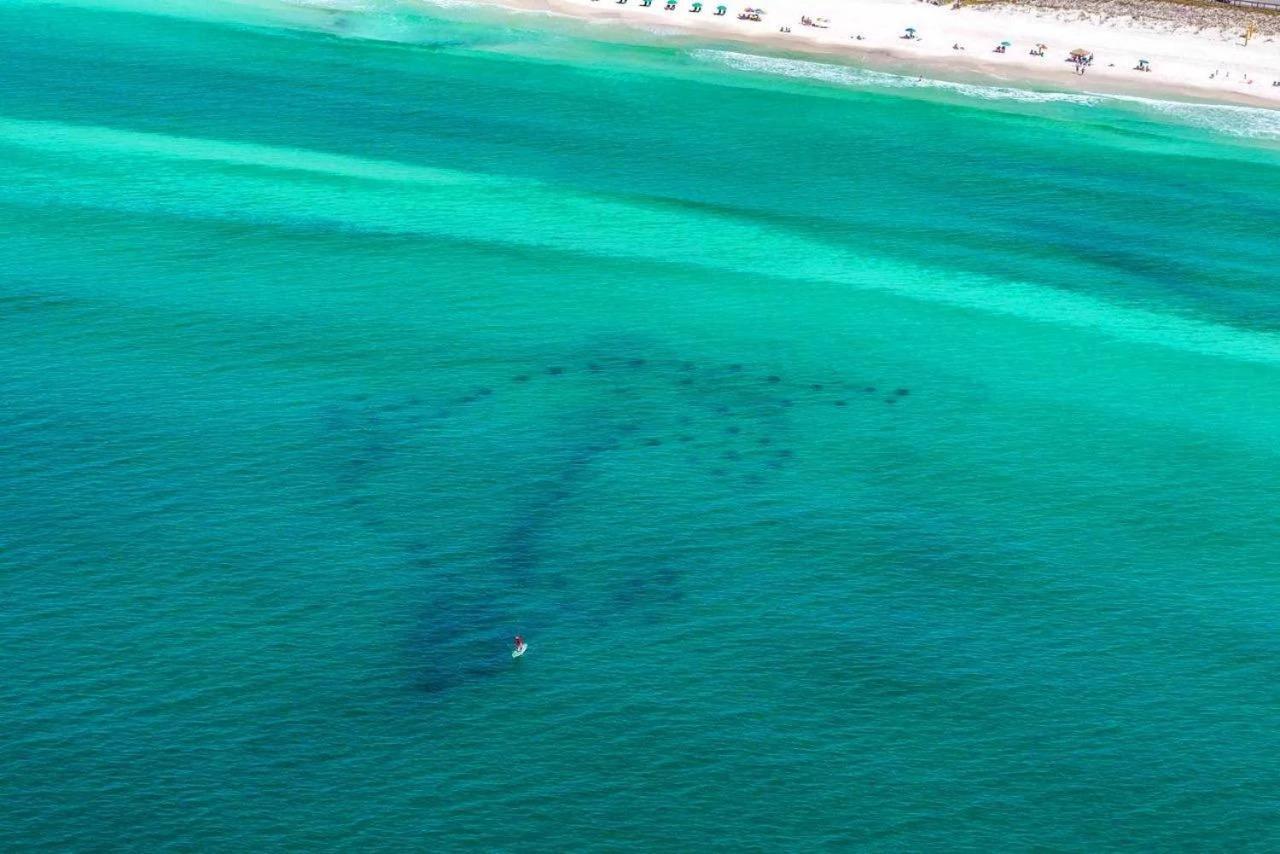 Beach Haven- Beach Pointe 703 Destin Bagian luar foto